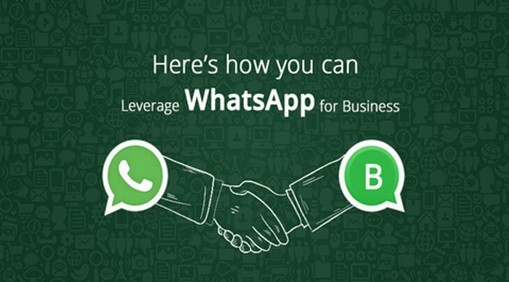 Whatsapp Business SMS 48 Axm-whatsapp-business
