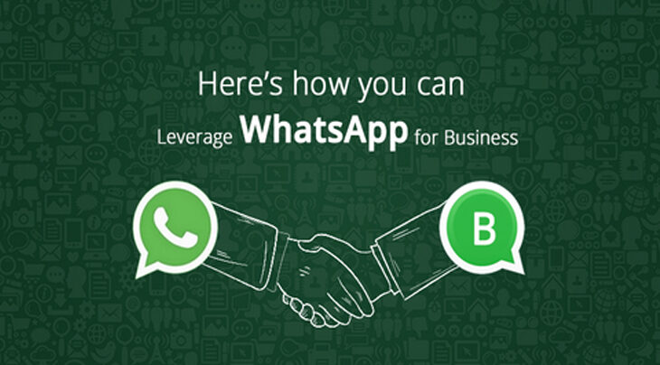 Axm-whatsapp-business