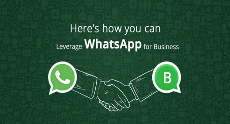 Axm-whatsapp-business