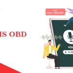 Voice SMS OBD